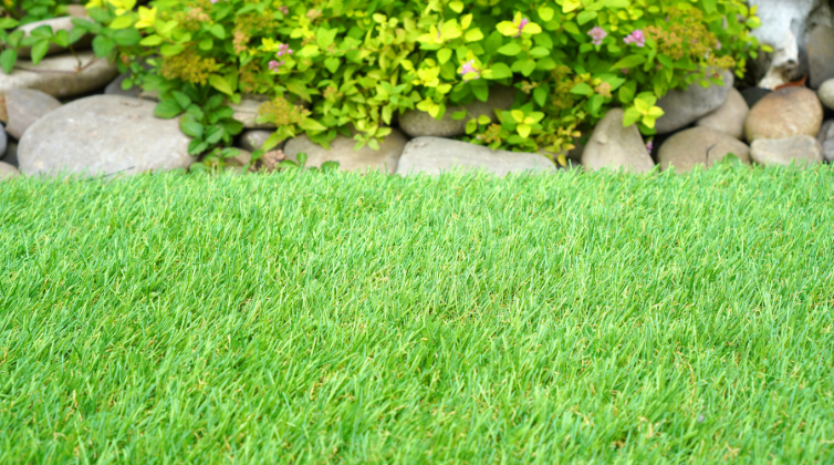 new-lawn1
